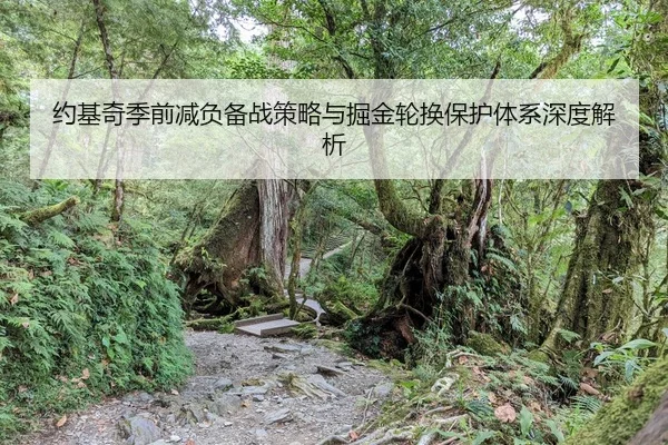 约基奇季前减负备战策略与掘金轮换保护体系深度解析 | JIUYOU